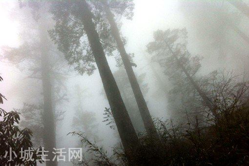 黄泉路在四川什么地方?