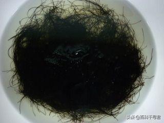 发菜不属于植物,为什么还被列入国家一级保护植物?