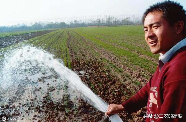 小麦播种多久后打除草剂比较好?