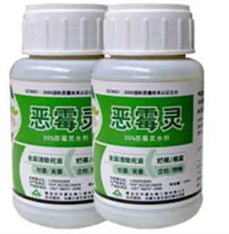 噁霉乙蒜素灌根能与菌肥同时用吗?