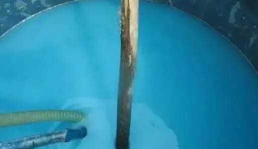 波尔多液能浇芸豆根部杀菌吗?