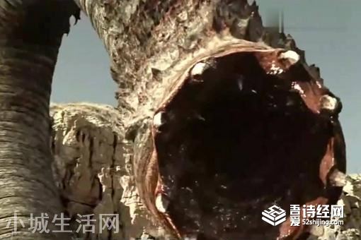 蒙古沙虫真实存在吗?