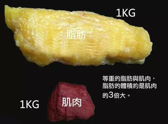 减脂跑步多长时间为宜 减脂要减多久