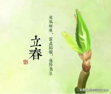 立春能浇小麦吗?