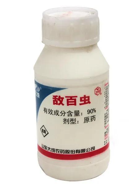 农药敌百虫能正打反死吗?