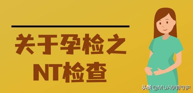 nt检查的一般几分钟 nt检查多久