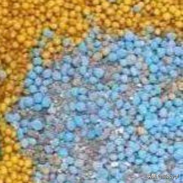 磷钾肥什么时候使效果最好?
