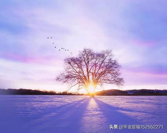 俗语“三九不落雪,脱袄过寒冬”是什么意思?
