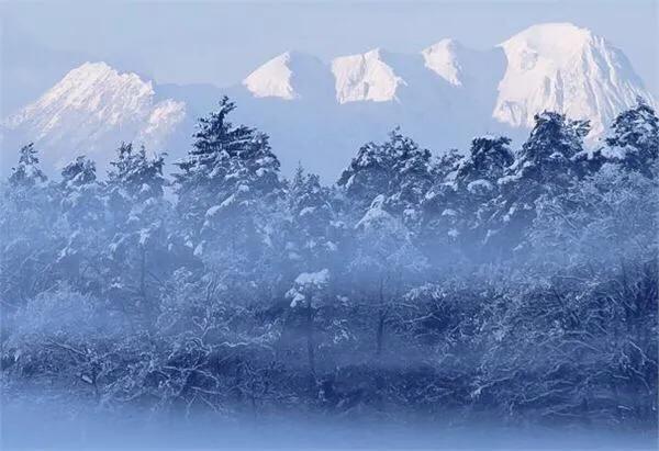 俗语“三九不落雪,脱袄过寒冬”是什么意思?