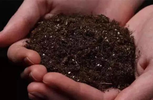 市场上卖的营养土是如何制作的?