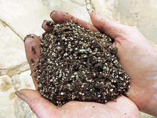 市场上卖的营养土是如何制作的?