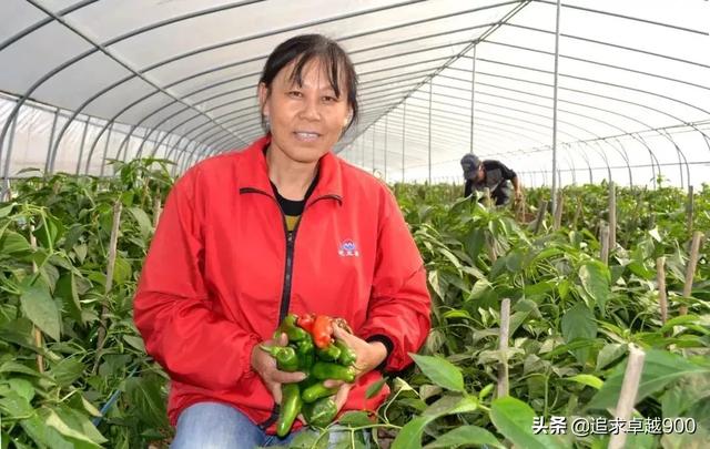 人长期在塑料大棚里干活,对人有什么影响?