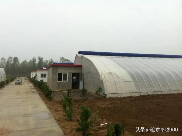 人长期在塑料大棚里干活,对人有什么影响?