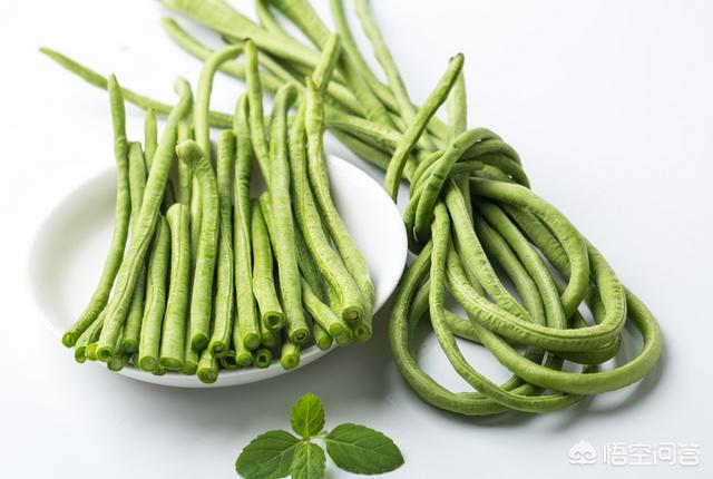 豆角煤霉病的发病原因是什么？怎么防治？