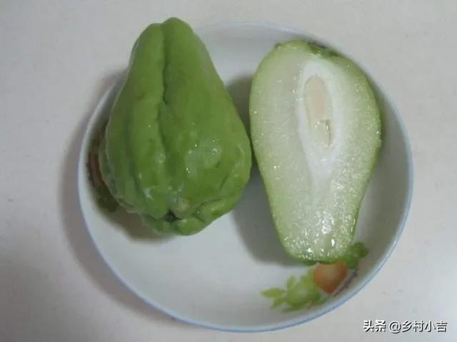 佛手瓜种子怎么保管?