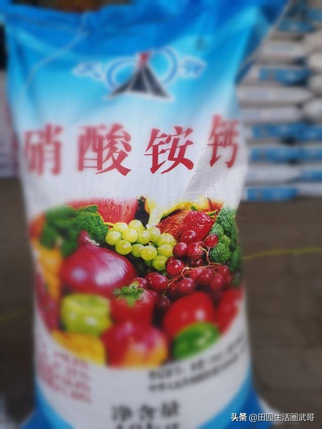 硝酸铵钙撒施后隔天浇水可以吗?为什么呢?