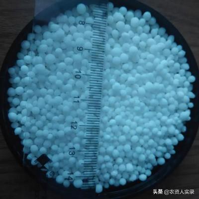硝酸铵钙撒施后隔天浇水可以吗?为什么呢?