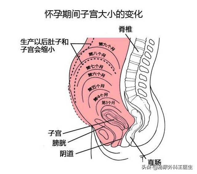 子宫全切手术时间多长 子宫全切多久