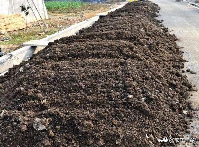 小麦播种施什么样肥，麦苗肥壮，发棵最多，产量更高？