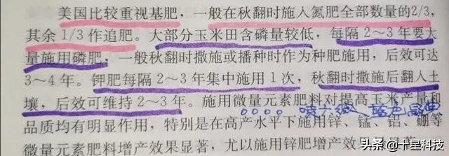 尿素和磷酸二铵混用可以起到肥效既快又持久的作用吗?
