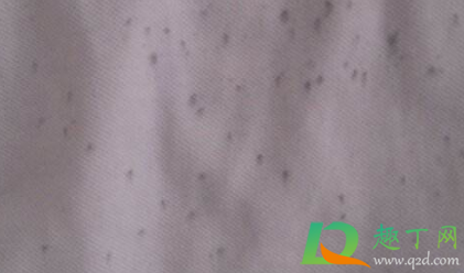 为什么短袖背后全是黑点点