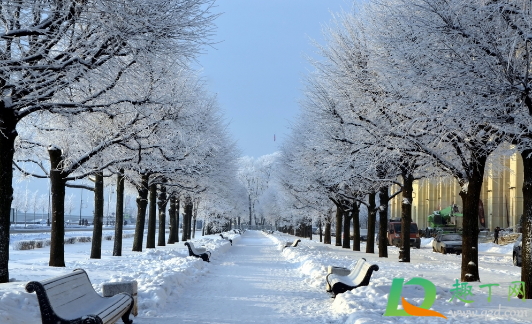 2020年11月下雪吗