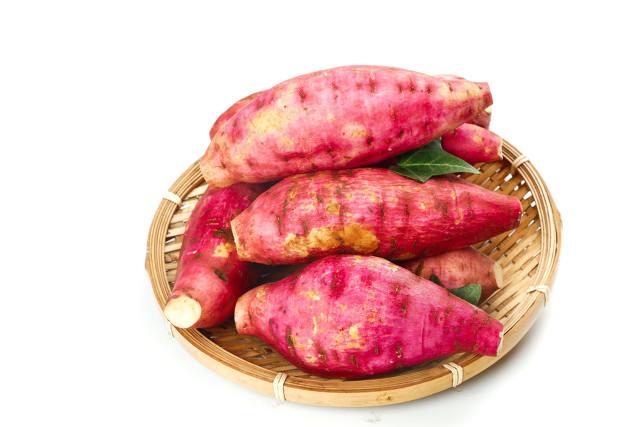 麦茬红薯可以剪春红薯头栽种吗?产量怎么样?