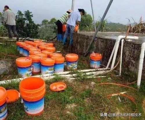 1斤复合肥兑水多少斤?