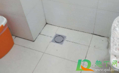 地漏反味怎么用什么方法