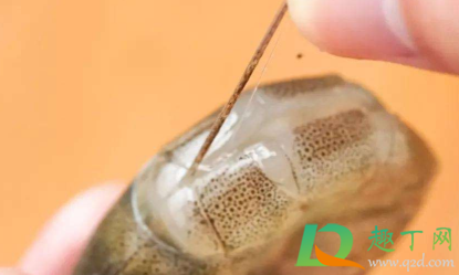 明虾的虾线怎么去掉