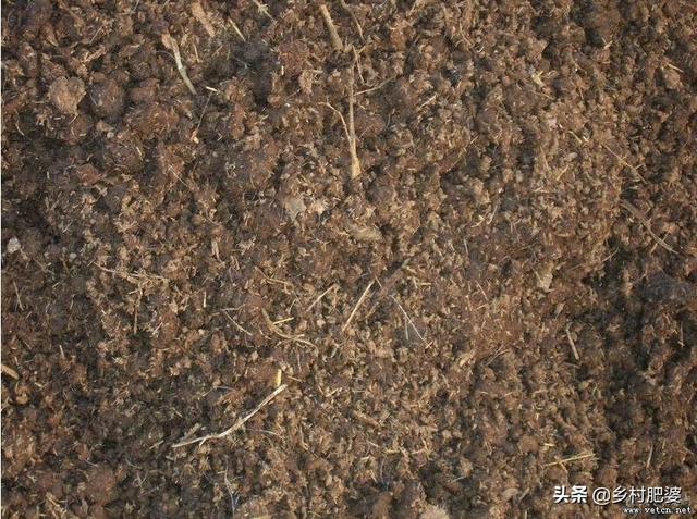 菜地施肥是农家肥好还是化肥好？