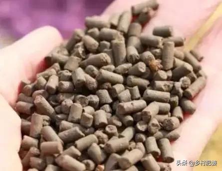 菜地施肥是农家肥好还是化肥好？