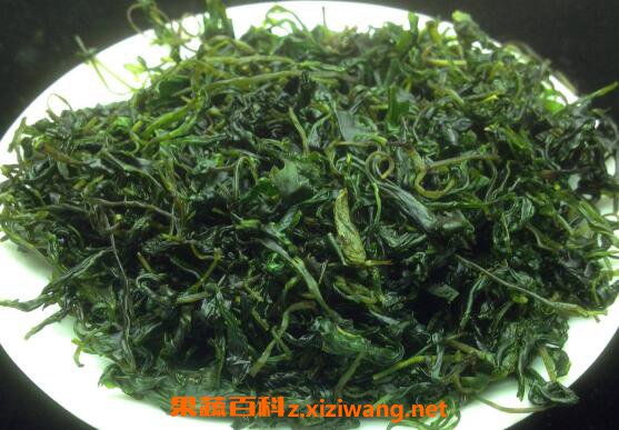 毛冬青茶有什么功效 喝毛冬青茶有什么好处