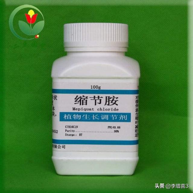玉米喷多了缩节胺会减产吗?