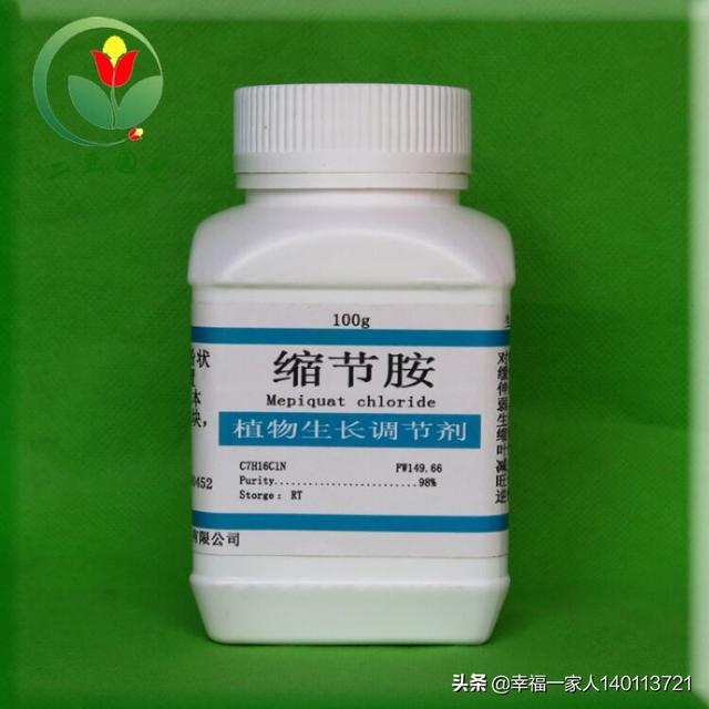 玉米喷多了缩节胺会减产吗?