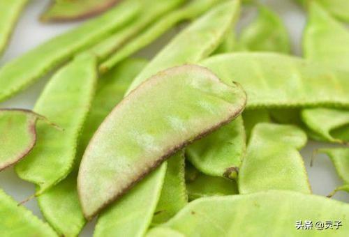 在农村种扁豆,选择什么土壤好?种植期间需要注意什么?