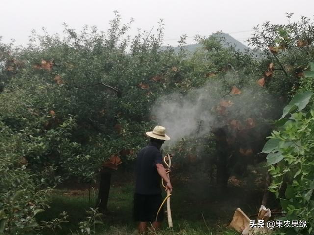 伏天打农药,怎么才能安全高效?