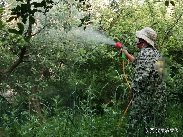 伏天打农药,怎么才能安全高效?