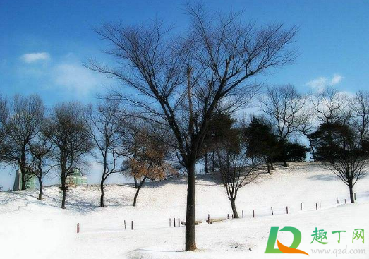 2021年什么时候下雪