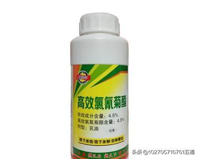 什么叫菊酯类农药？菊酯类的农药都有哪些？