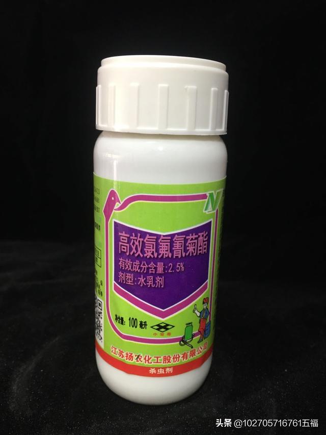 什么叫菊酯类农药？菊酯类的农药都有哪些？