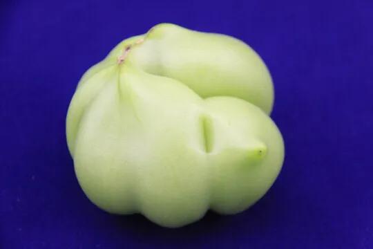 西红柿出现畸形果的原因有哪些?如何通过施肥方法减少畸形果的产生?