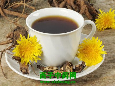 蒲公英根茶有什么功效 蒲公英根茶能长期喝吗