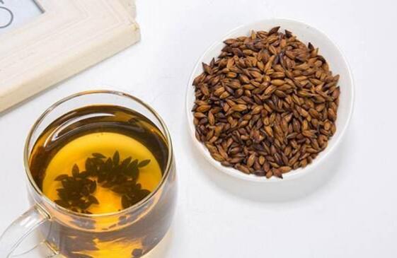 大麦茶的功效与作用 大麦茶怎么喝好