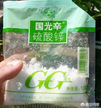盆栽的无花果，叶片越长越小是什么原因？应该怎么补救？