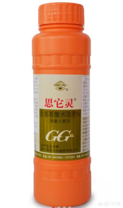 盆栽的无花果，叶片越长越小是什么原因？应该怎么补救？