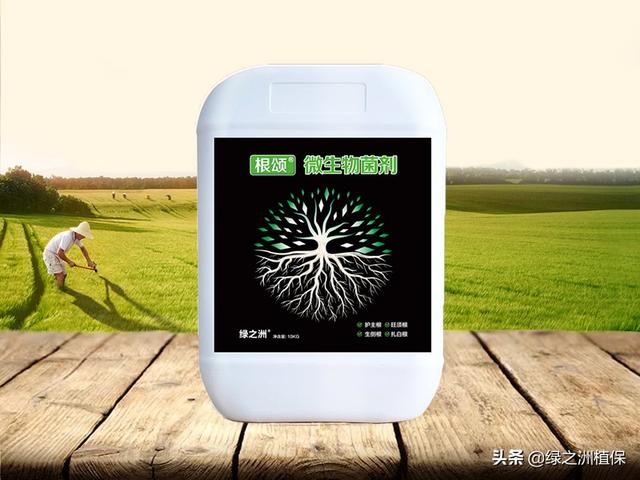 丝瓜花很多，到最后结果并不多，怎么落花落果这么严重？如何防治？