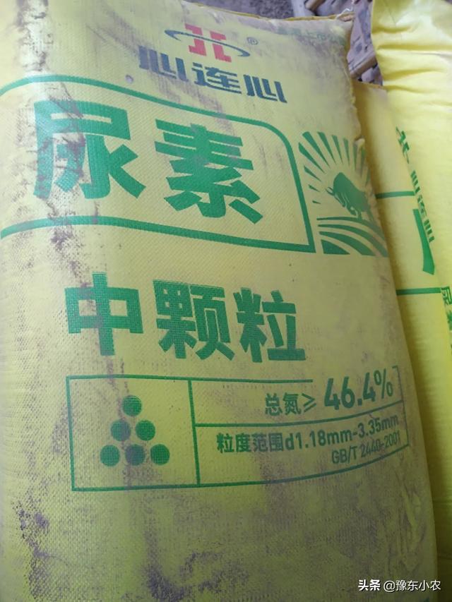 大蒜抽过苔后，还要不要给大蒜用肥呢？