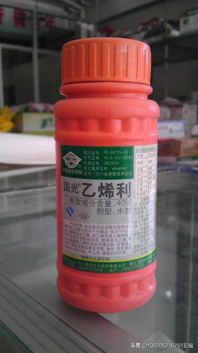 生长调节剂有哪些种类?在蔬菜生产中怎样应用?