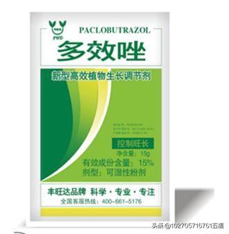 生长调节剂有哪些种类?在蔬菜生产中怎样应用?